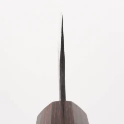 Sakai Takayuki Aogami Super Kengata 19 cm