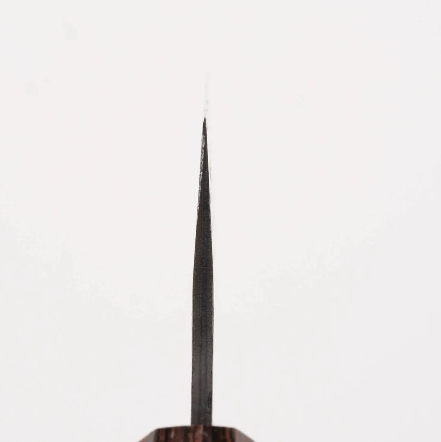 Sakai Takayuki Aogami Super Kengata 16 cm