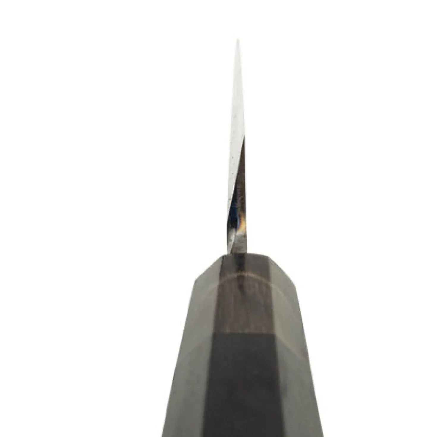Sakai Takayuki Aogami#2 Yanagiba 24 cm
