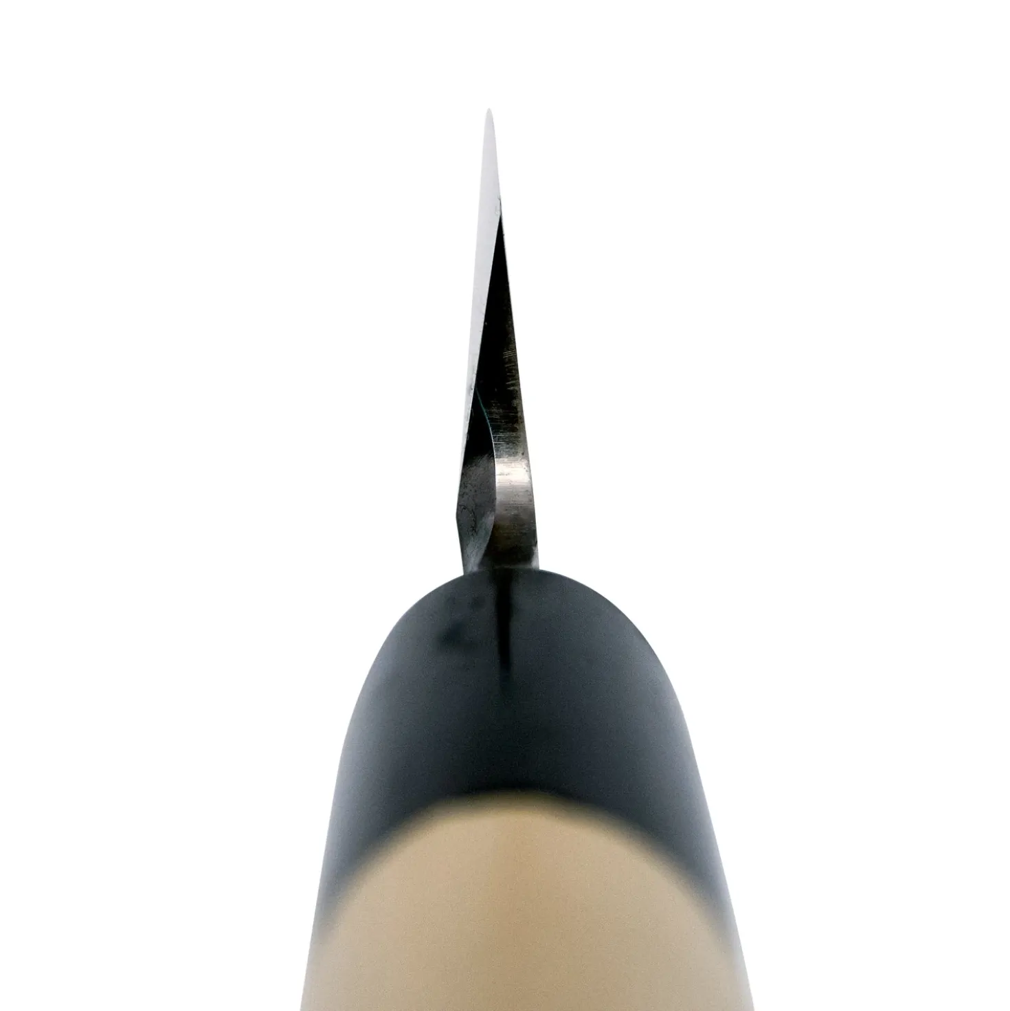 Sakai Takayuki Blue 2 Yanagiba 27 cm