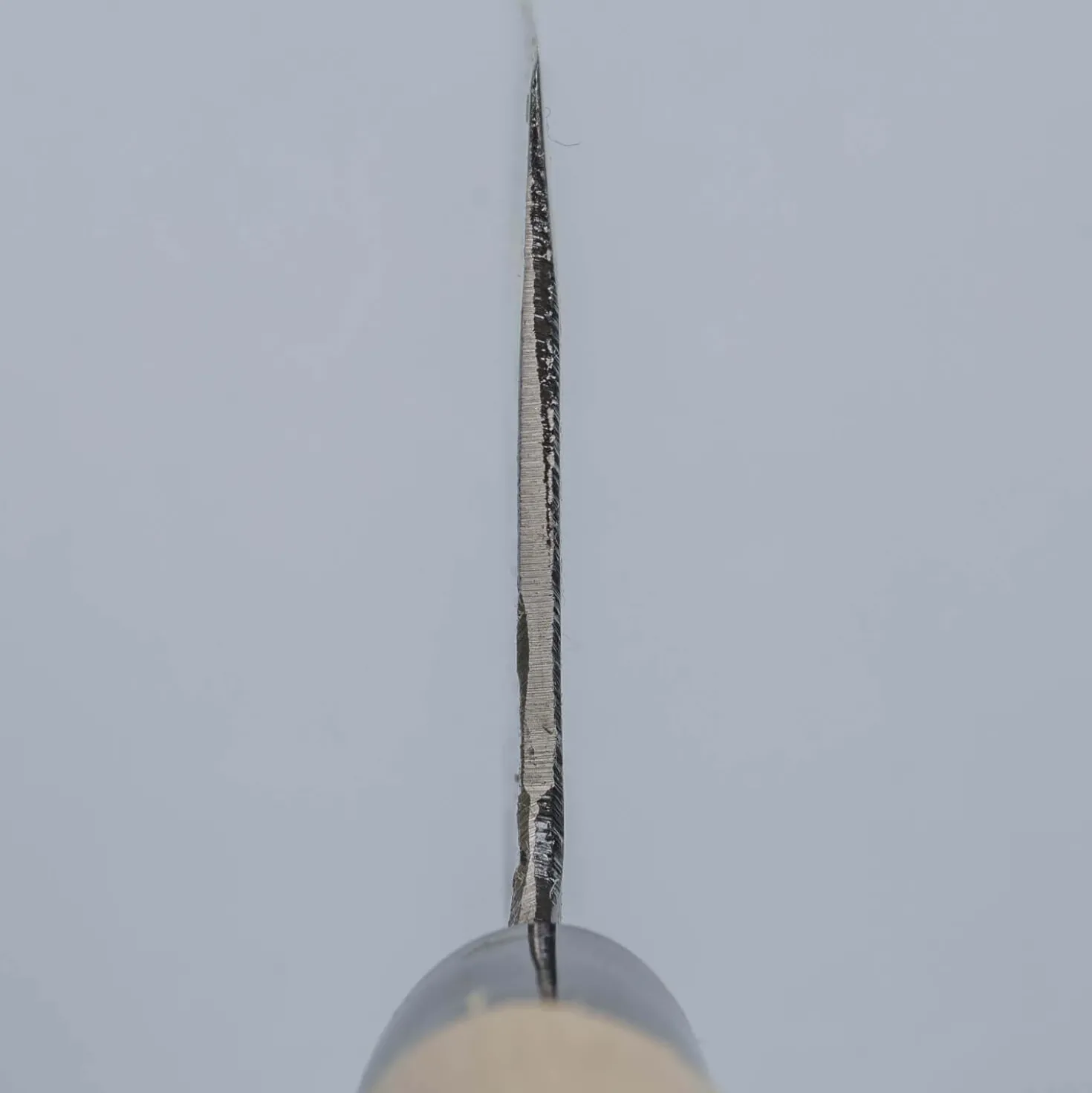 Sakai Takayuki Carbon SK Nakiri 17 cm