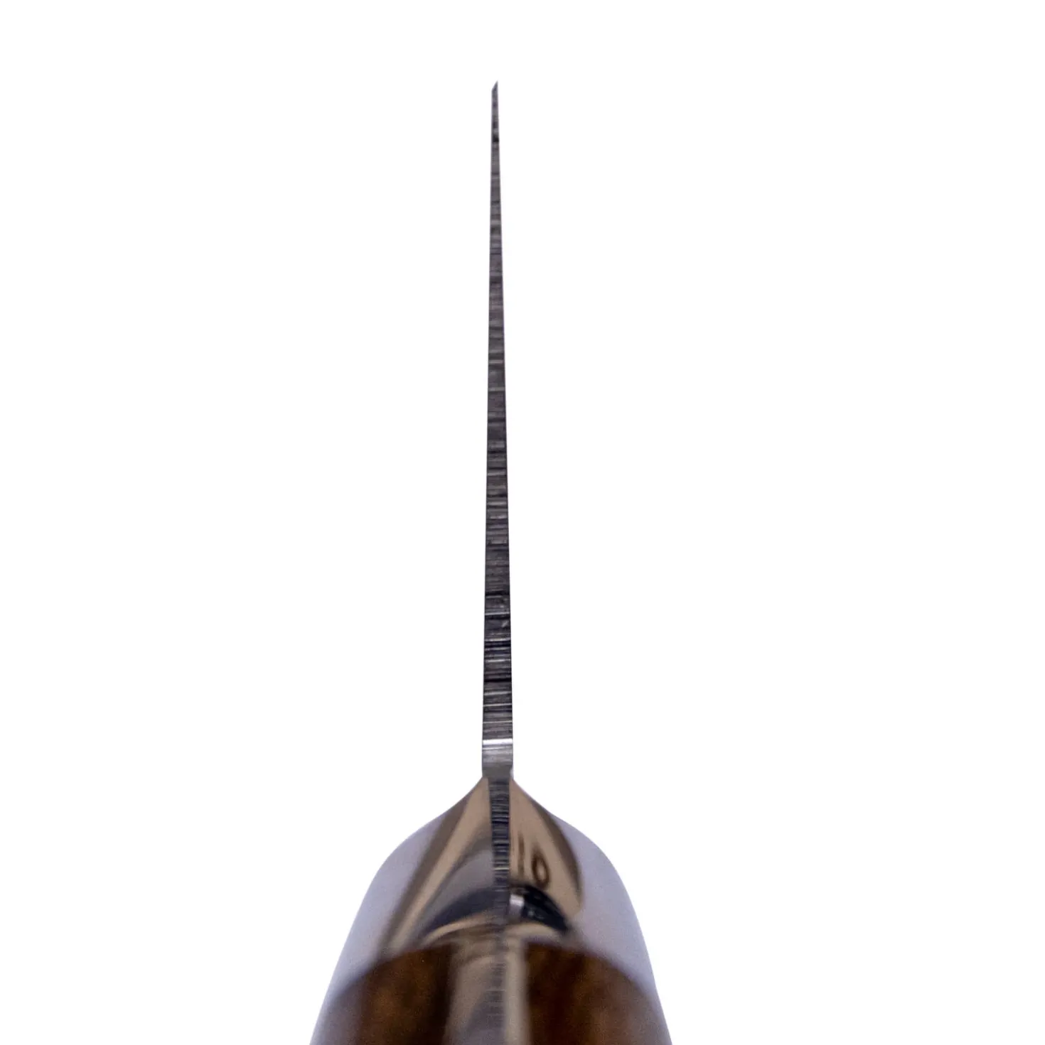Sakai Takayuki Coreless Gyuto 21 cm