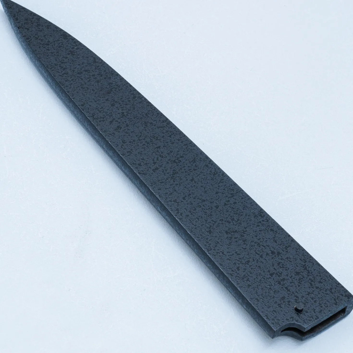 Sakai Takayuki Ginryu Yanagiba 27 cm