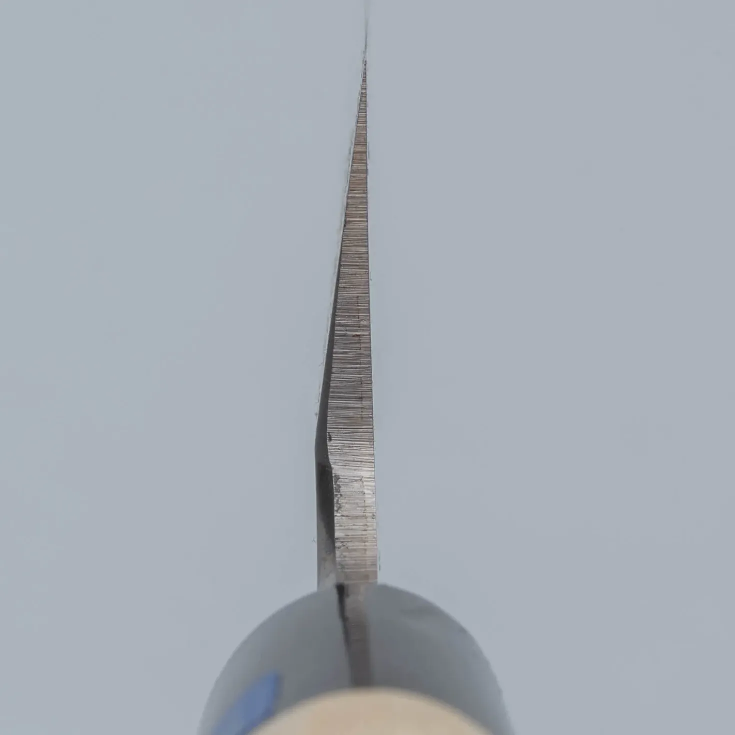 Sakai Takayuki Inox Usuba 21 cm