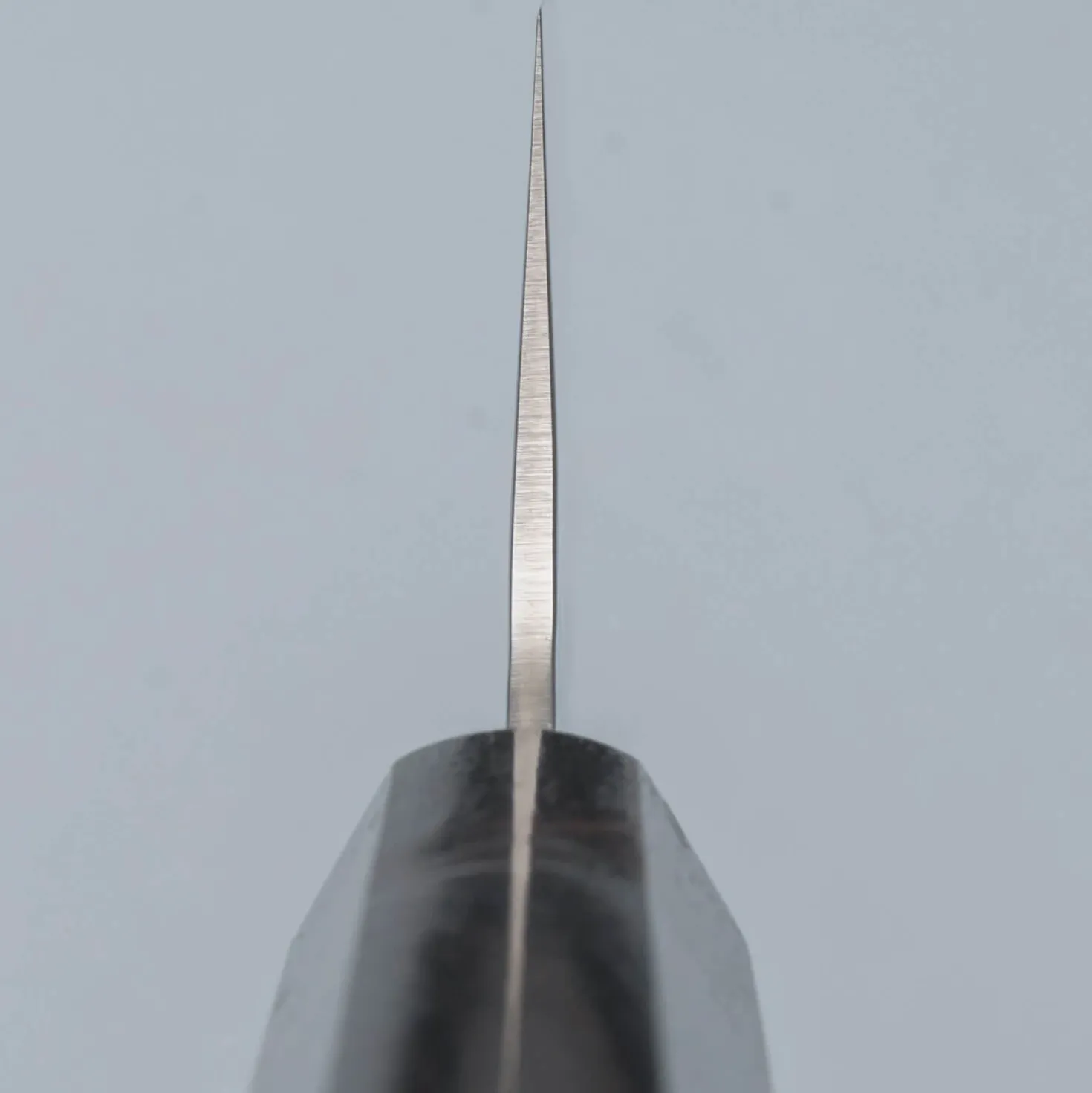 Sakai Takayuki 33 Layer Damascus Ebony Kengata 19 cm