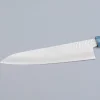 Sakai Takayuki 33 Layer Damascus AI Koksmes 21 cm