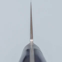 Sakai Takayuki 33 Layer Damascus Blue Koksmes 21 cm