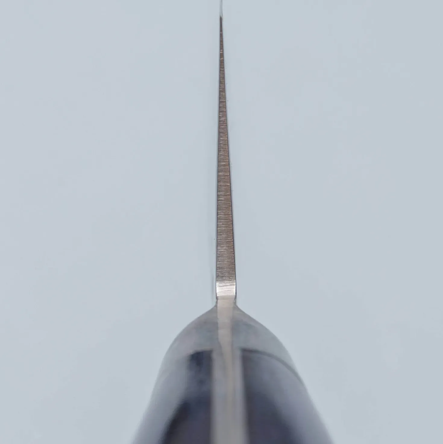 Sakai Takayuki 33 Layer Damascus Blue Koksmes 21 cm