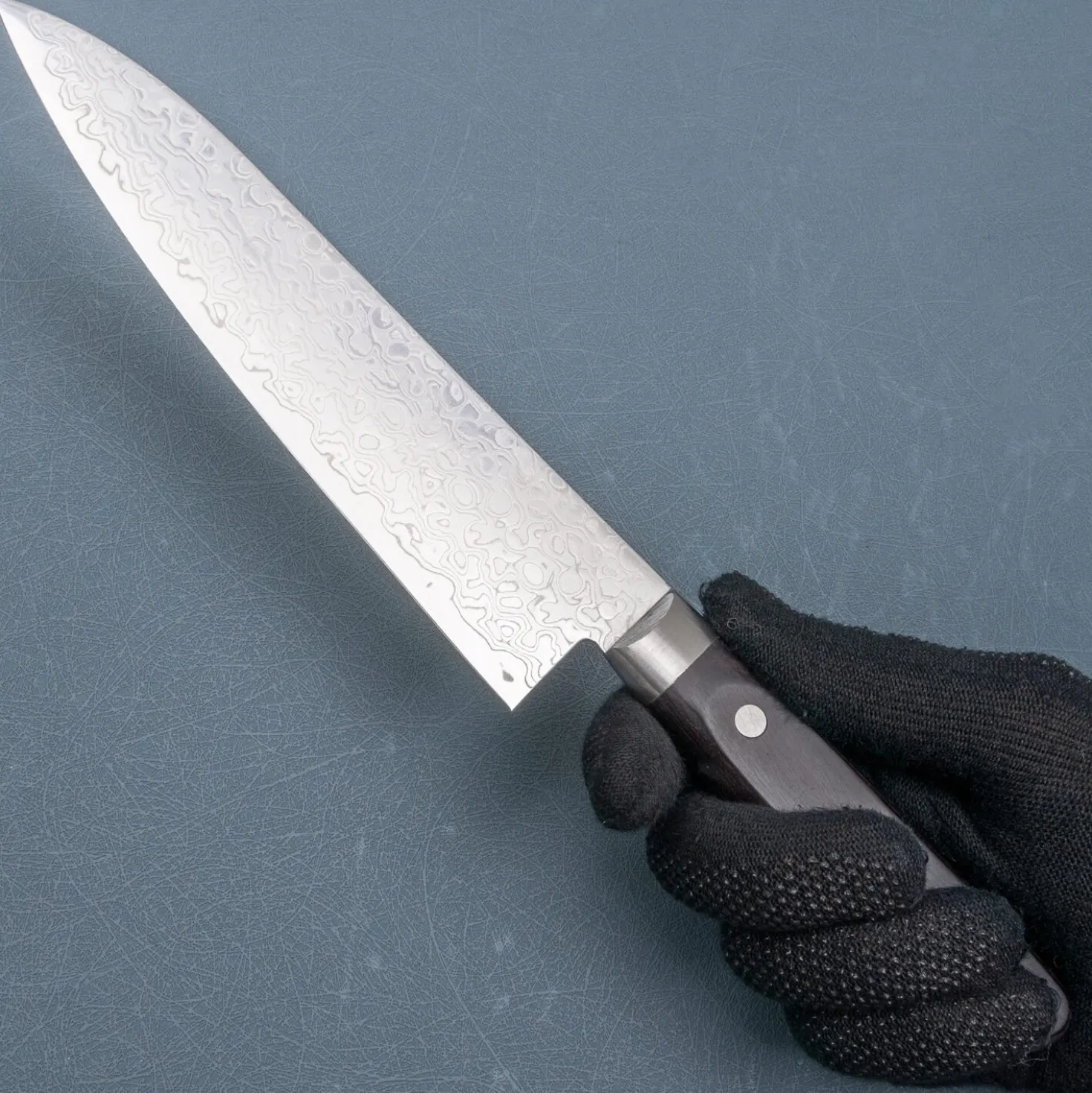 Sakai Takayuki Mirrored Gyuto 18 cm