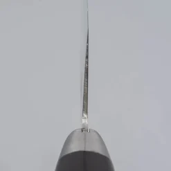 Sakai Takayuki Mirrored Nakiri 16 cm