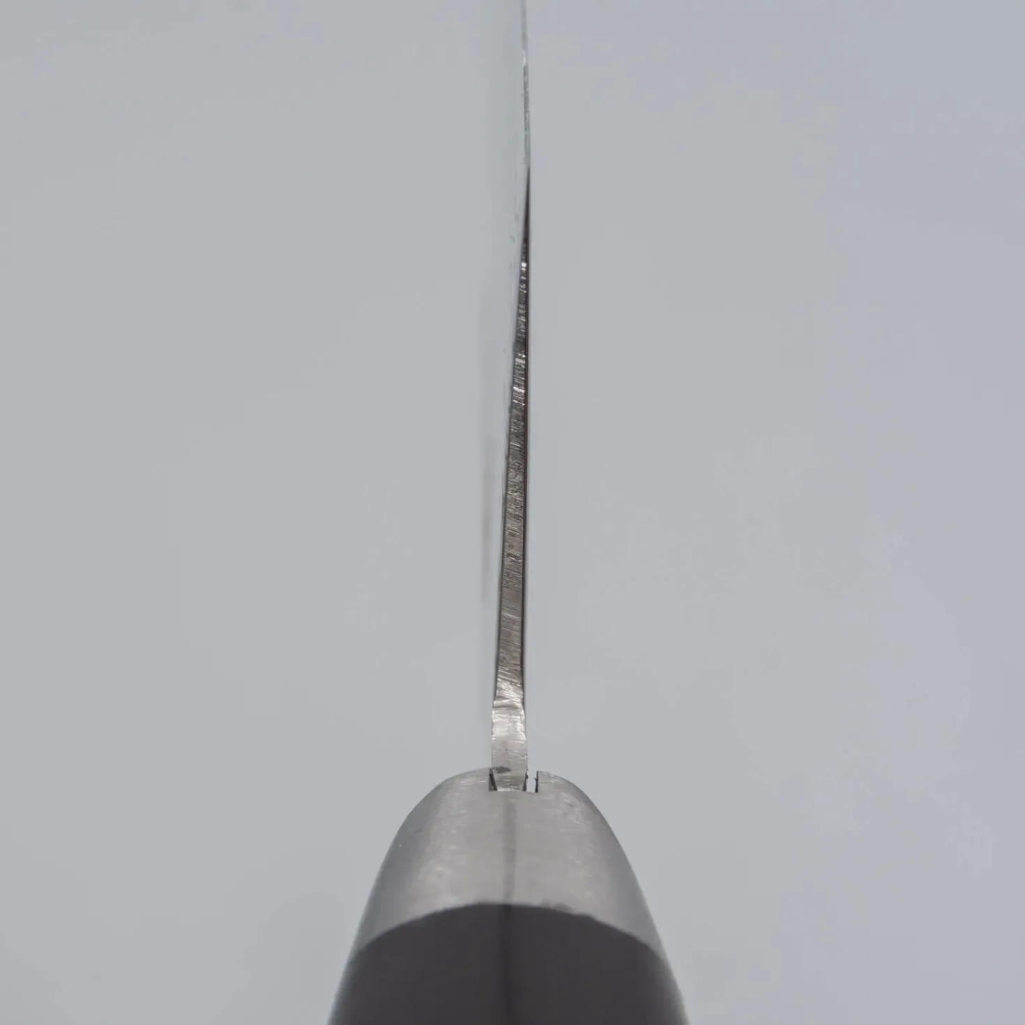 Sakai Takayuki Mirrored Nakiri 16 cm