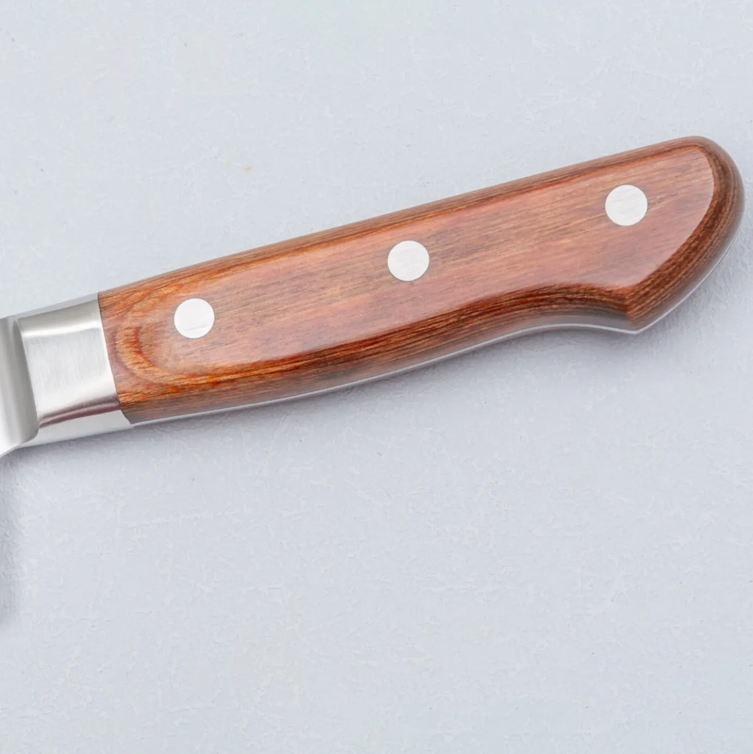 Sakai Takayuki Pro VG5 Gyuto 24 cm