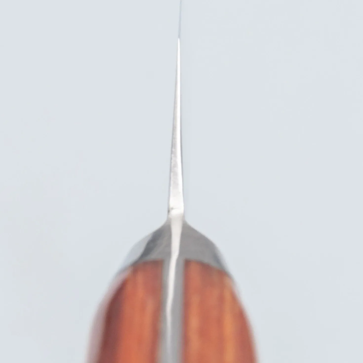 Sakai Takayuki Pro VG5 Petty 15 cm