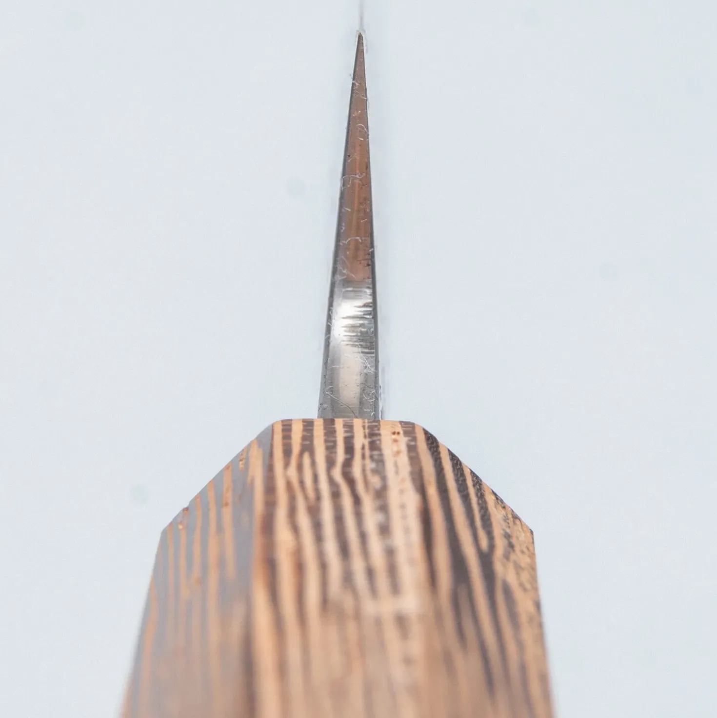 Sakai Takayuki Sanpou Shirogami #2 Petty 15 cm