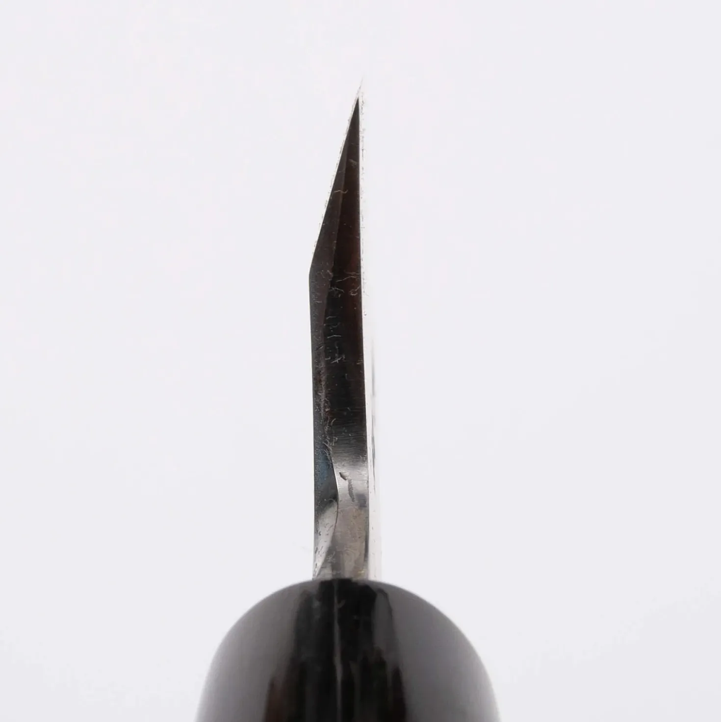 Sakai Takayuki Shirogami #2 Honesuki 15 cm