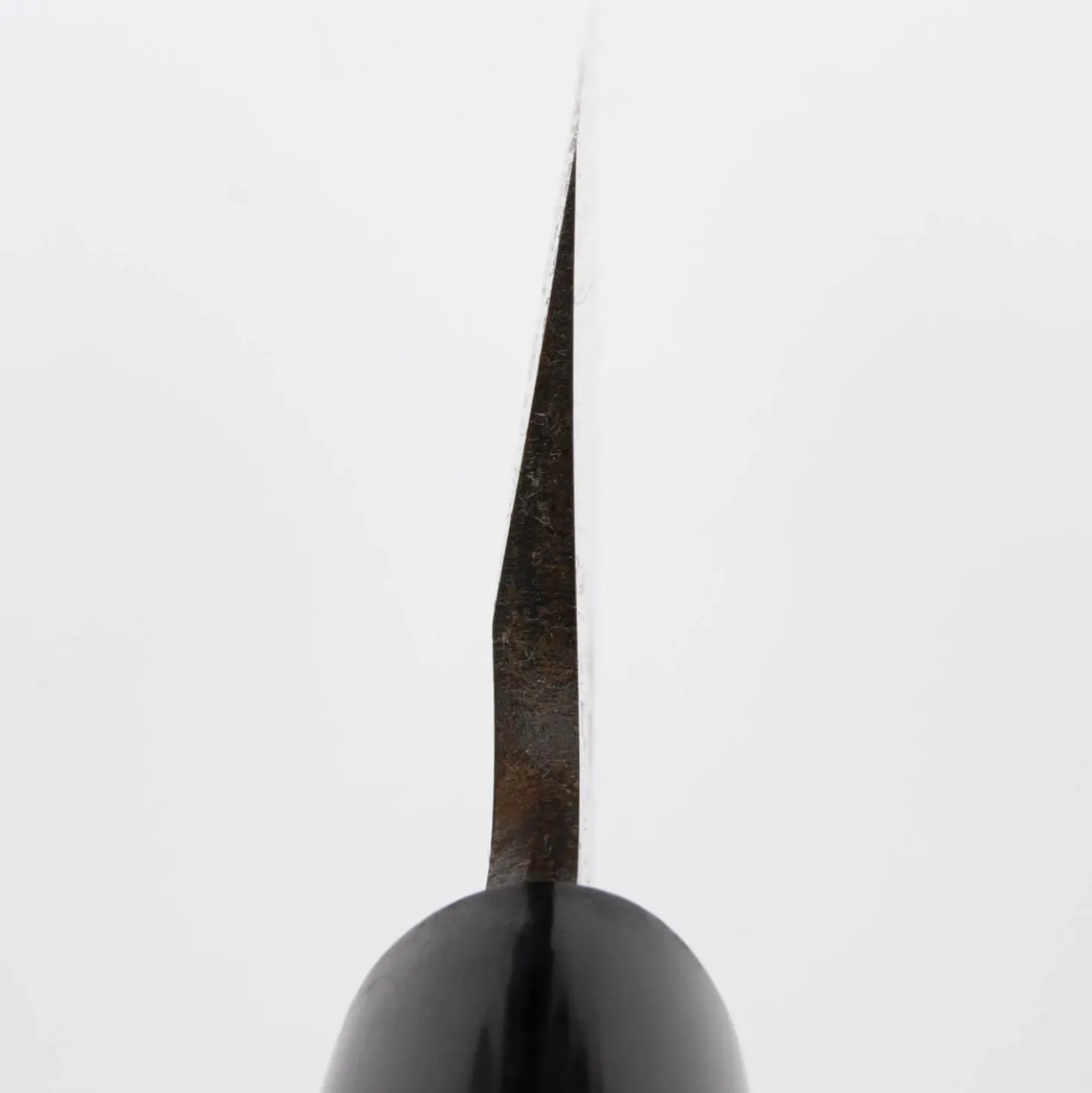 Sakai Takayuki Shirogami #2 Honekiri 24 cm