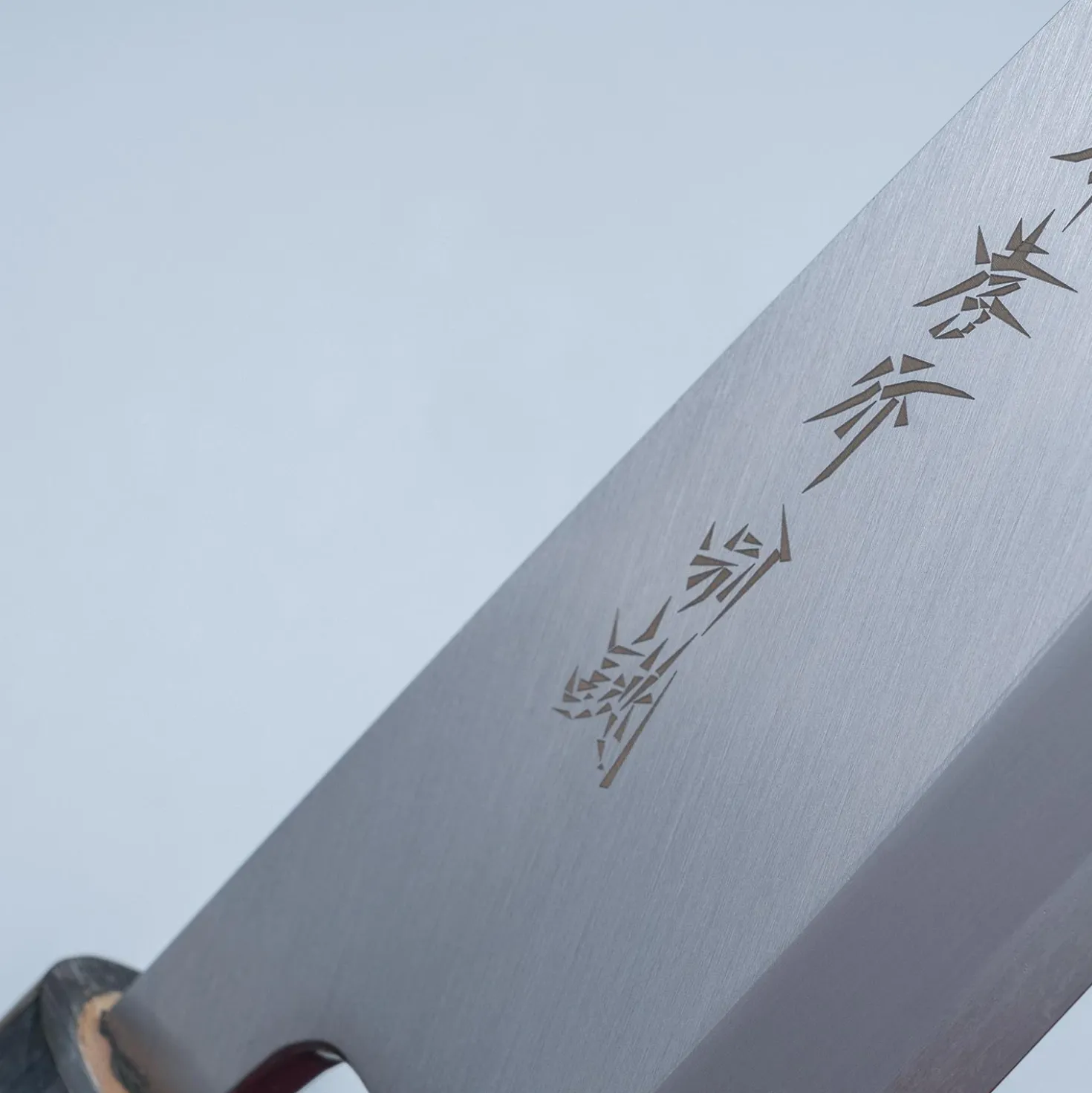 Sakai Takayuki Tokujou Deba 18 cm