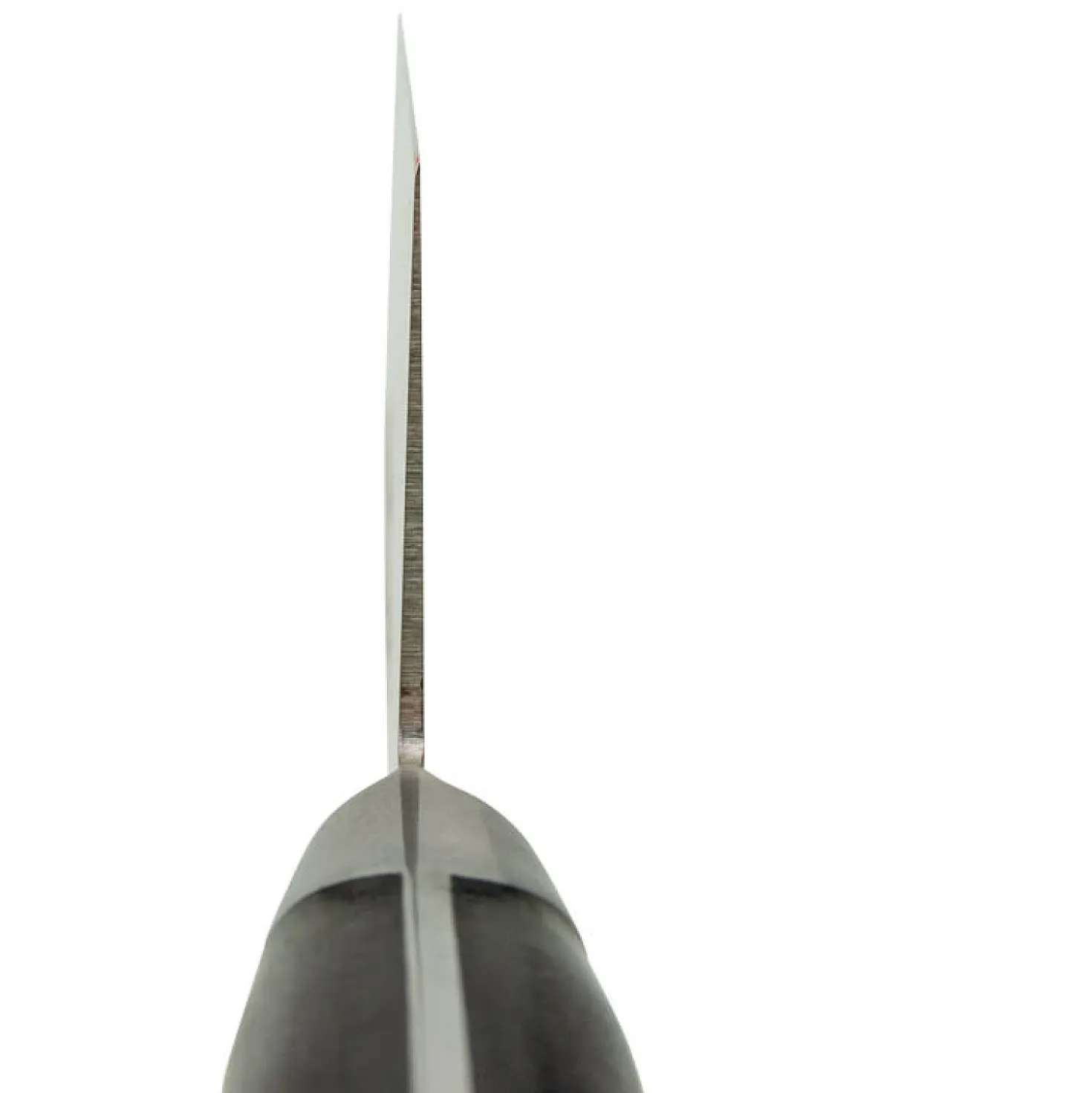 Sakai Takayuki TUS Koksmes 24 cm