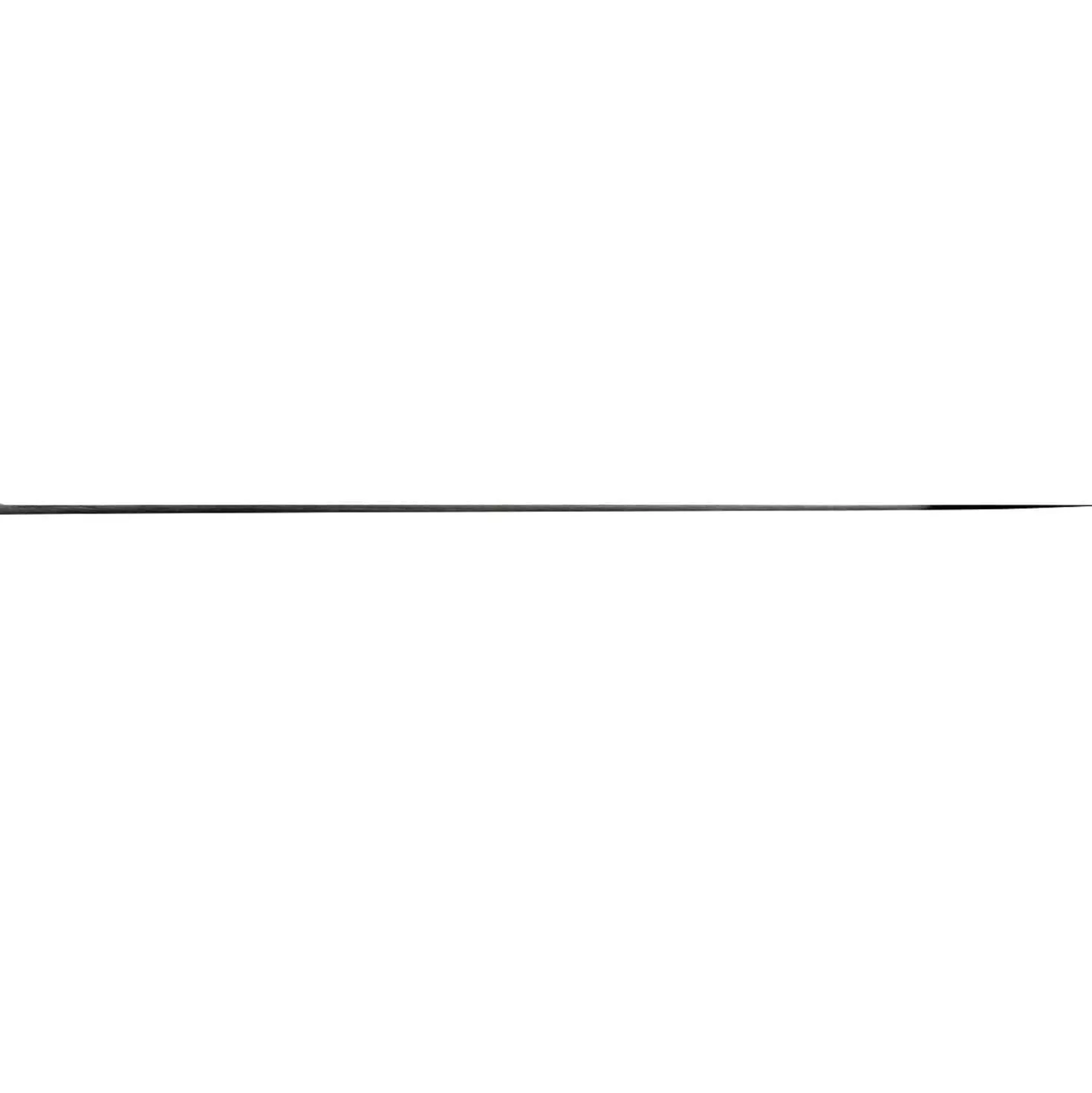 Sakai Takayuki TUS Koksmes 27 cm