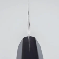Sakai Takayuki VG10 Nashiji Ebony Kengata 16 cm