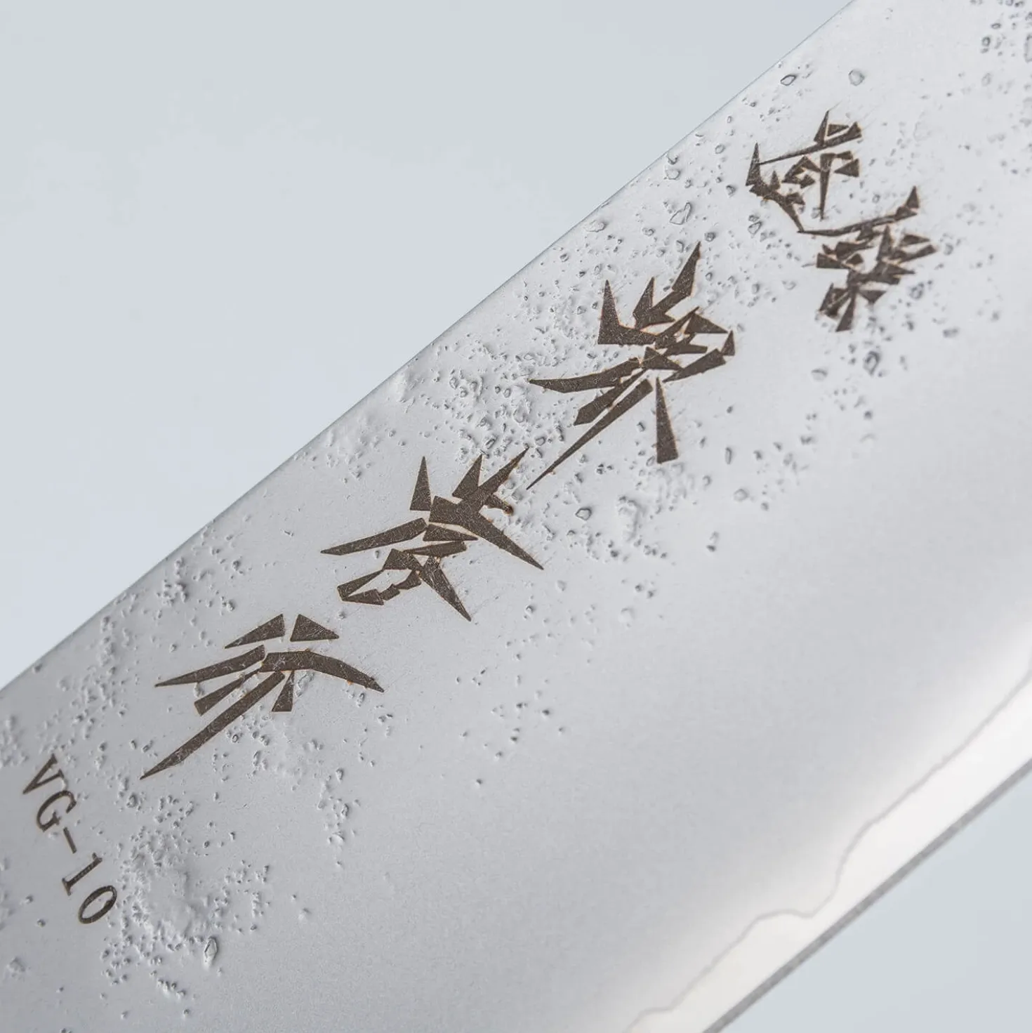 Sakai Takayuki VG10 Nashiji Ebony Gyuto 21 cm
