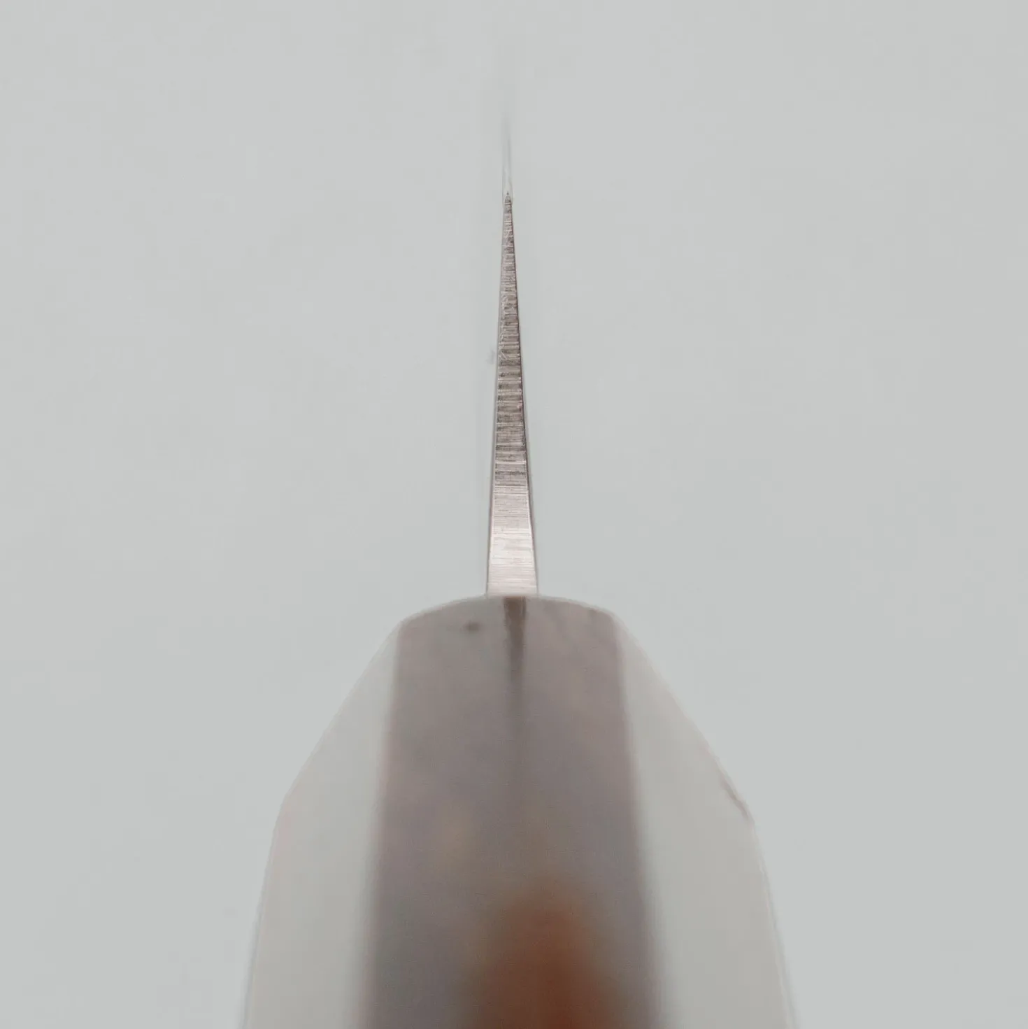 Sakai Takayuki VG10 Nashiji Ebony Petty 15 cm