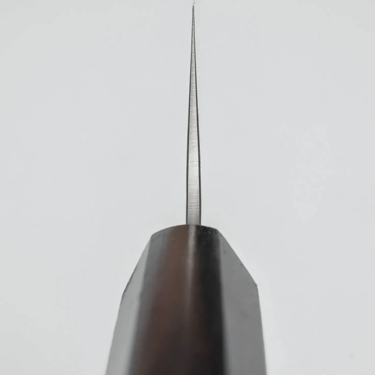 Sakai Takayuki VG10 Nashiji Ebony Kengata 19 cm
