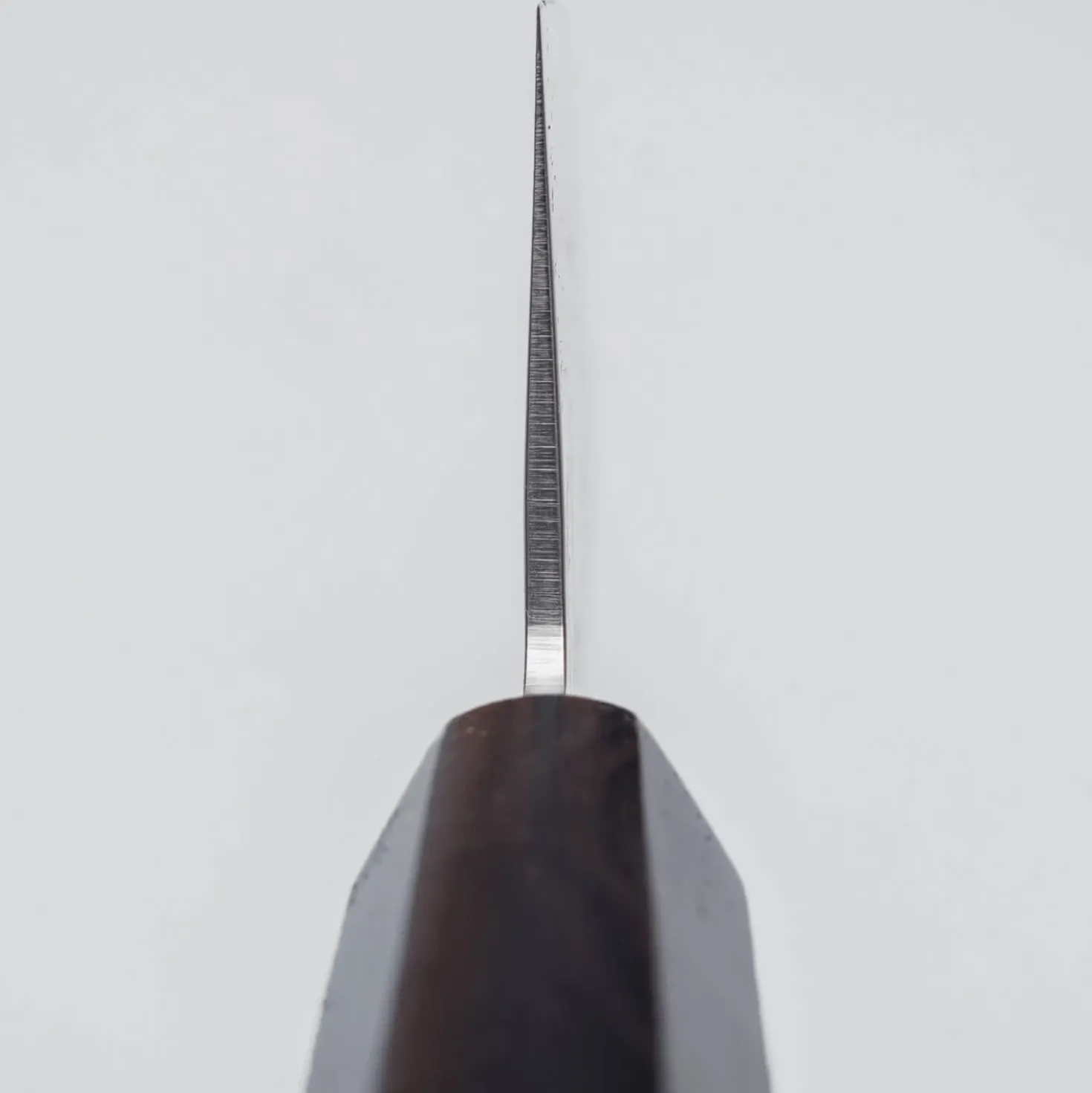 Sakai Takayuki VG10 Nashiji Ebony Gyuto 24 cm