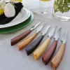 Saladini Steakmessen Wenge (6 stuks)