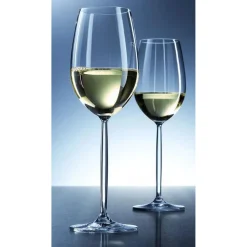 Schott Zwiesel Diva Witte Wijnglazen 30 cl (2 stuks)