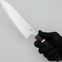 Shibata Arare SG2 Gyuto 21 cm