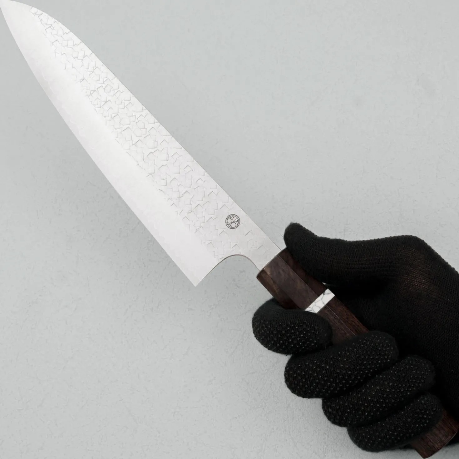 Shibata Arare SG2 Gyuto 21 cm