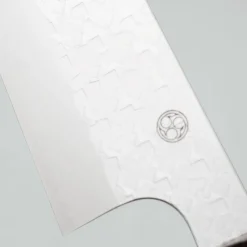 Shibata Arare SG2 Gyuto 21 cm