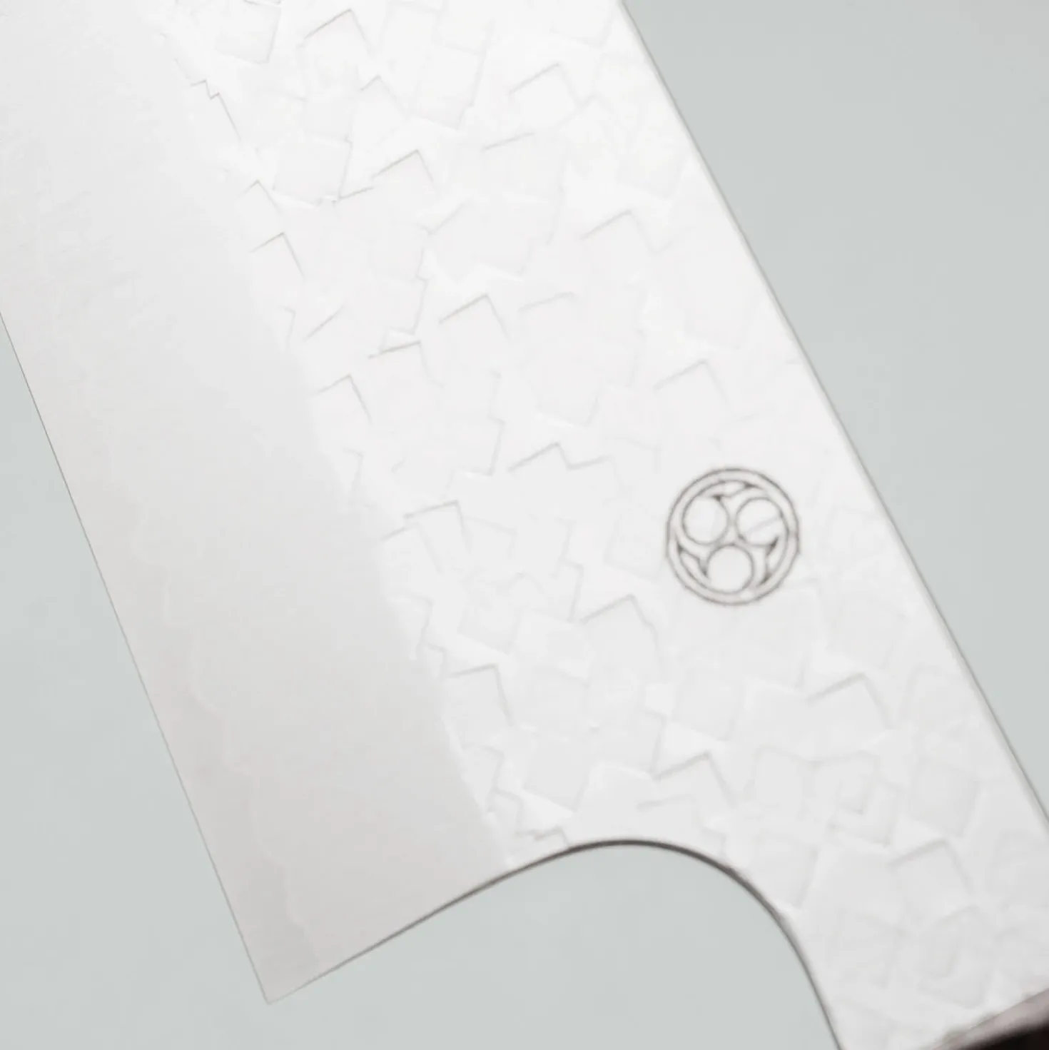 Shibata Arare SG2 Gyuto 21 cm