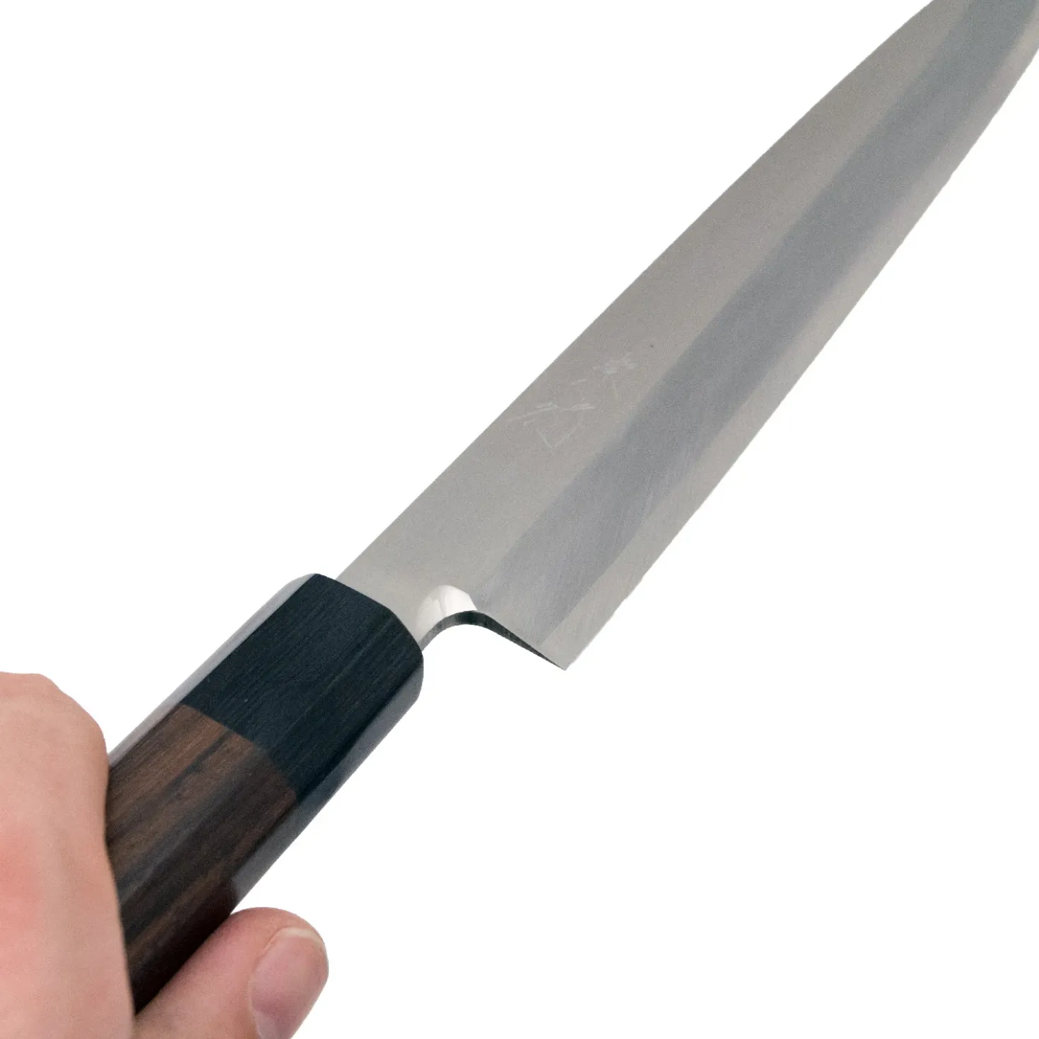 Shibata Kotetsu Yanagiba 24 cm