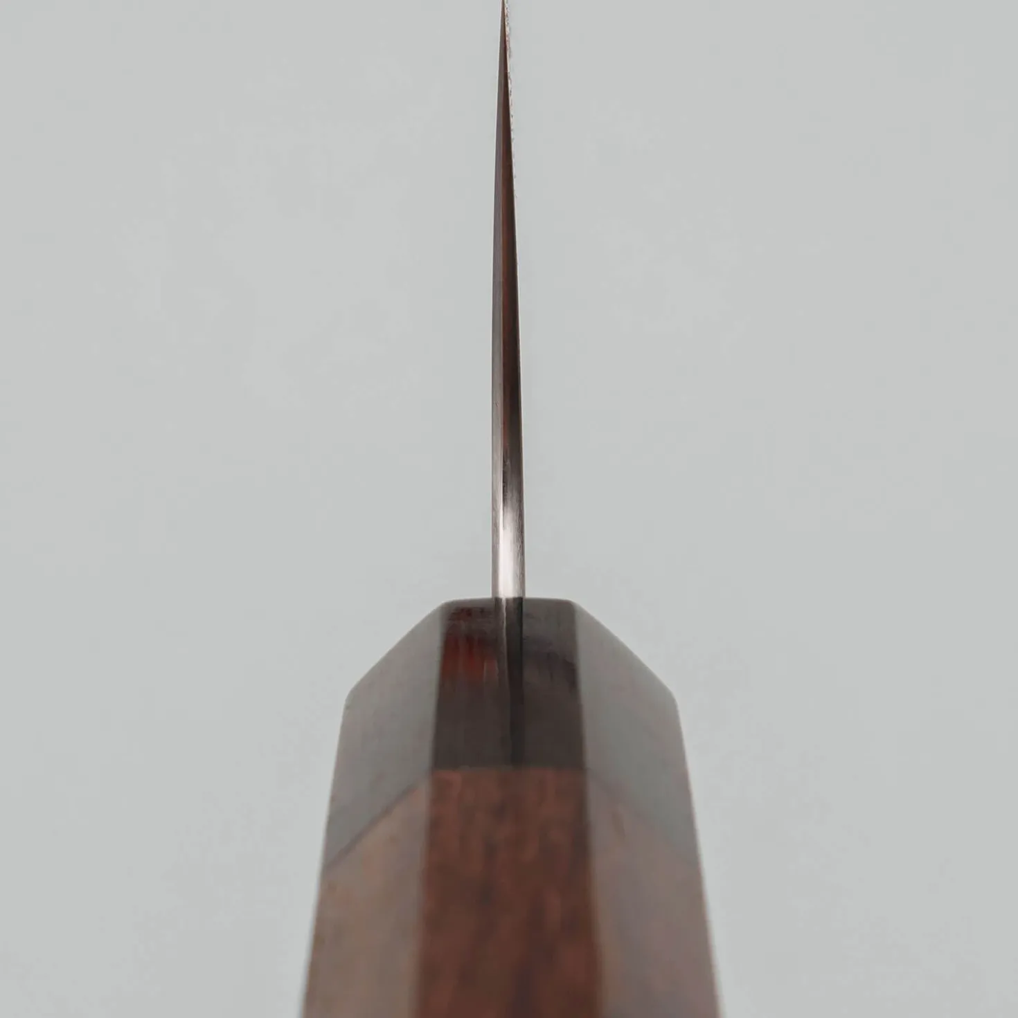Shibata Koutetsu Chromax Gyuto 24 cm