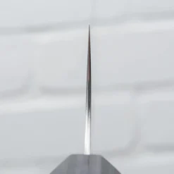 Shibata Koutetsu Gyuto 21 cm