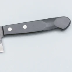 Shigeki Tanaka Aogami 2 Kiritsuke 21 cm