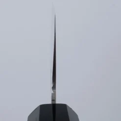 Shigeki Tanaka Aogami 2 Migaki Nakiri 16.5 cm