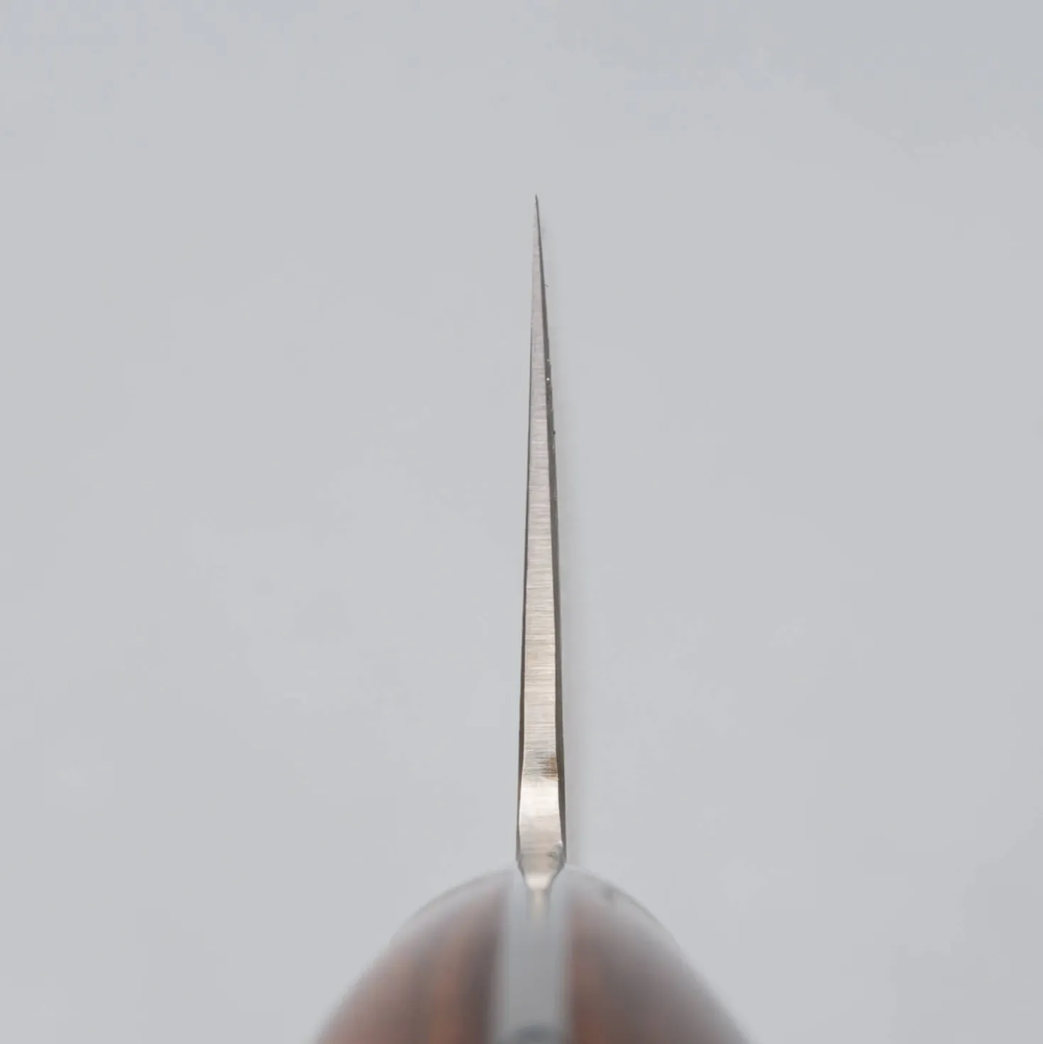 Shigeki Tanaka SG2 Damascus Ironwood Gyuto 21 cm