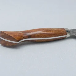Shigeki Tanaka SG2 Damascus Ironwood Gyuto 18 cm