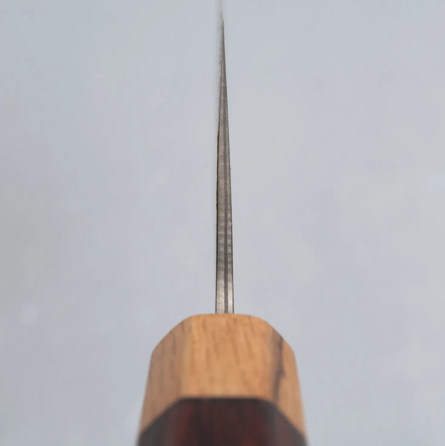 Shiro Kamo SG2 Damast Rengas Koksmes 21 cm