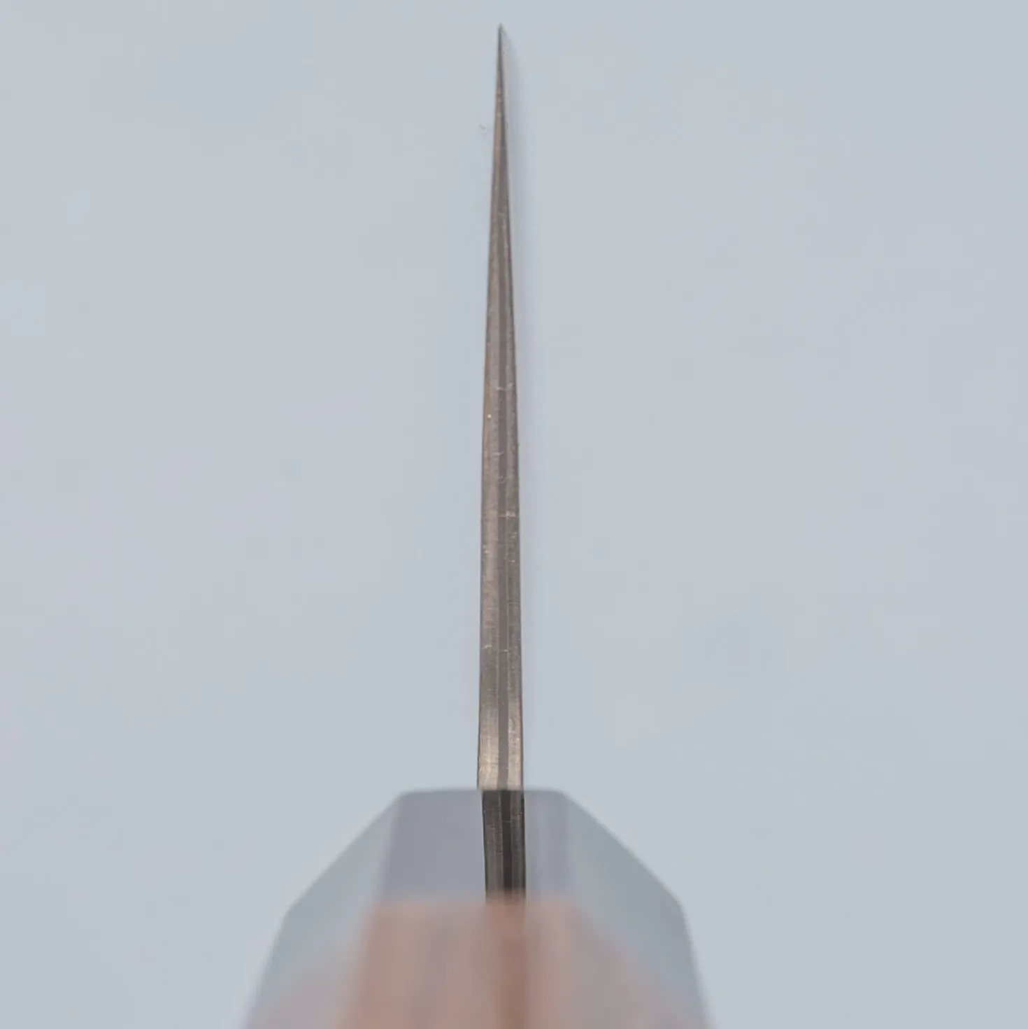 Shiro Kamo SG2 Damast Walnut Koksmes 24 cm