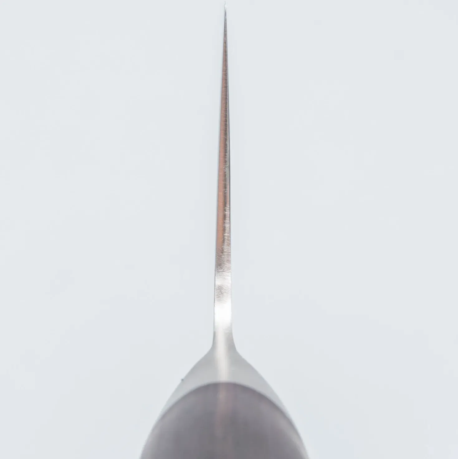 Shizu Miyako Damast Gyuto 24 cm