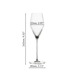 Spiegelau Definition Champagneglas 250 ml (2 stuks)