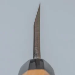Suisin Ginsanko Deba 16.5 cm + Saya