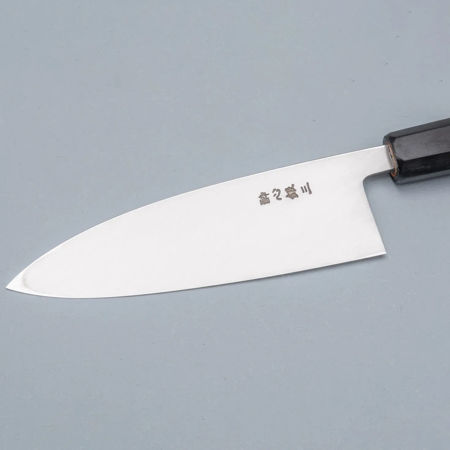 Suisin Ginsanko Deba 16.5 cm + Saya