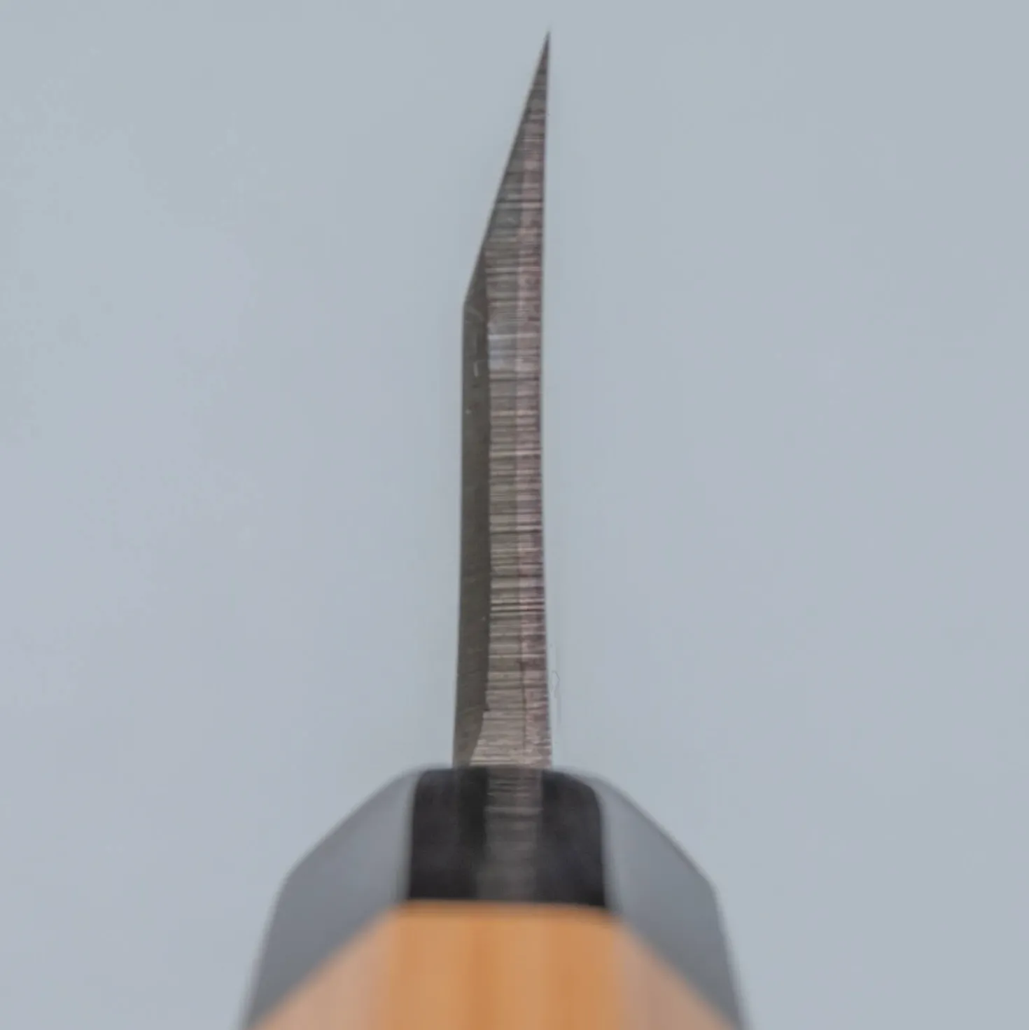 Suisin Ginsanko Deba 15 cm + Saya