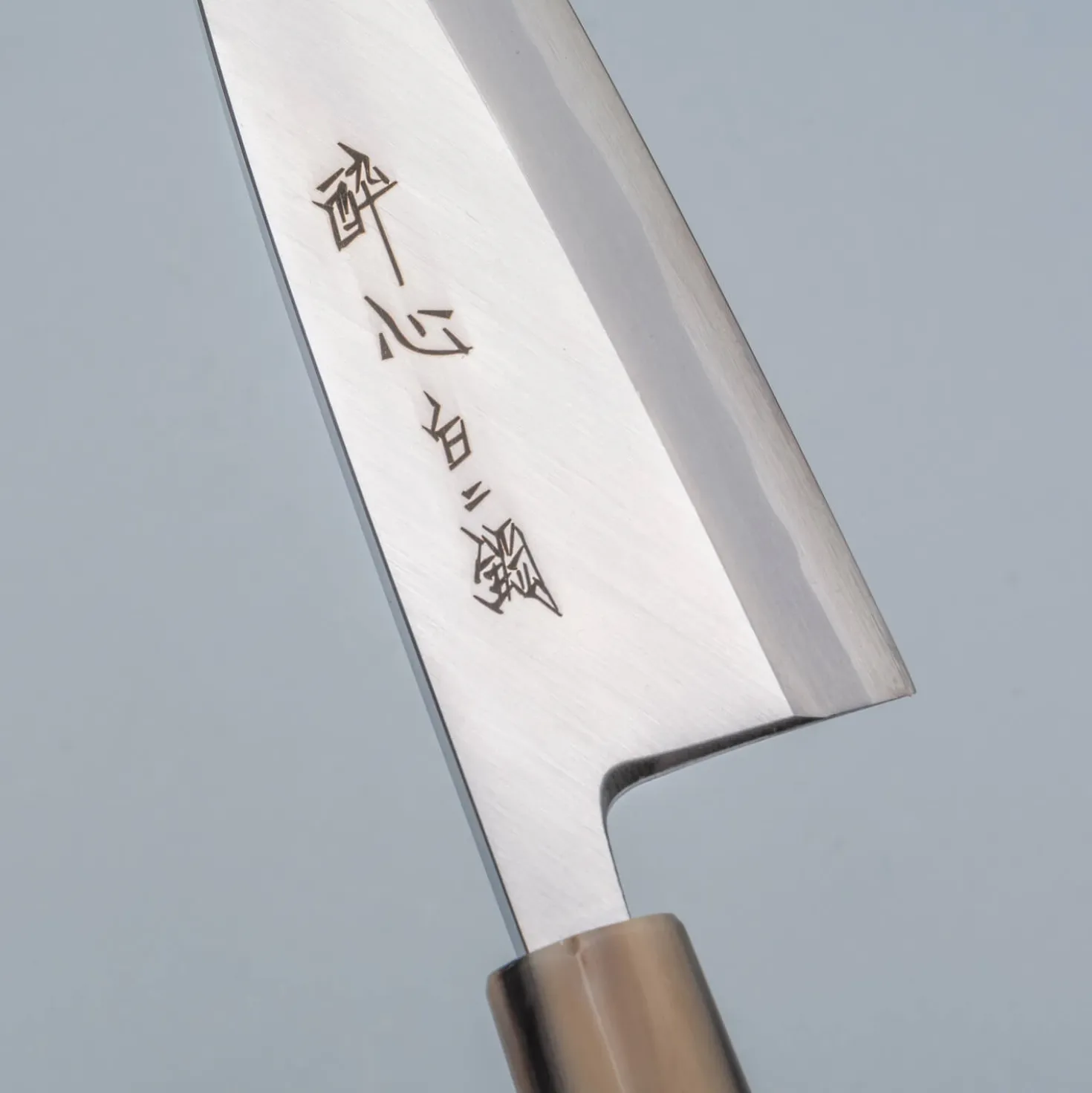 Suisin Shironiko Deba 16.5 cm + Saya