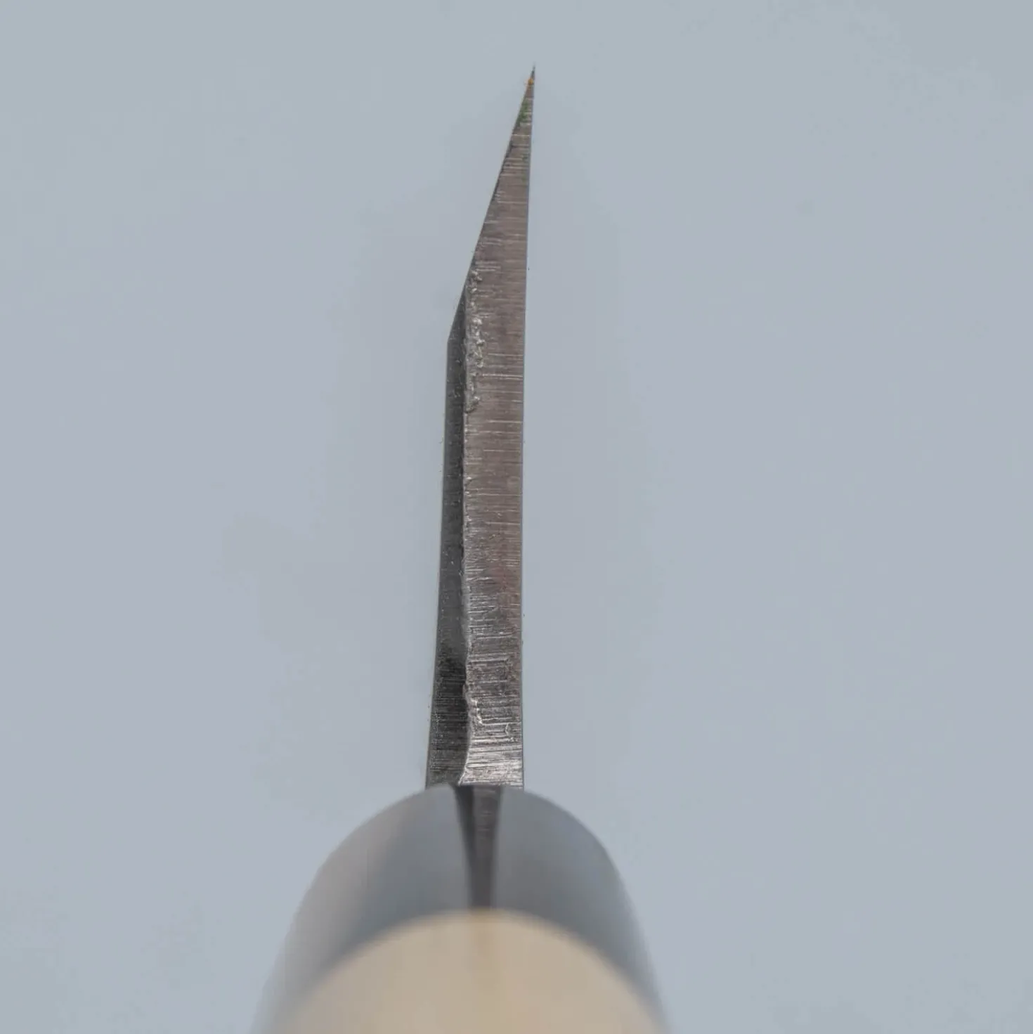 Suisin Shironiko Deba 16.5 cm + Saya